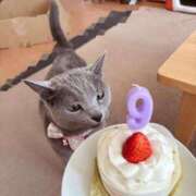 ヒメ日記 2025/02/25 08:15 投稿 有村もえ プレジデントハウス