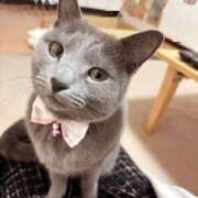 ヒメ日記 2025/02/25 11:10 投稿 有村もえ プレジデントハウス