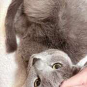 ヒメ日記 2025/03/08 07:46 投稿 有村もえ プレジデントハウス