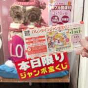 ヒメ日記 2025/03/10 15:30 投稿 有村もえ プレジデントハウス