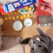 ヒメ日記 2025/03/15 09:15 投稿 有村もえ プレジデントハウス