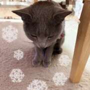 ヒメ日記 2025/03/17 21:45 投稿 有村もえ プレジデントハウス