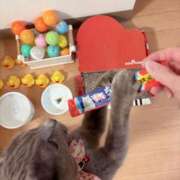 ヒメ日記 2025/03/30 22:26 投稿 有村もえ プレジデントハウス