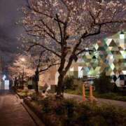 ヒメ日記 2025/04/03 08:31 投稿 有村もえ プレジデントハウス