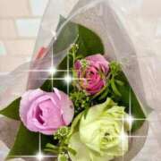 ヒメ日記 2025/04/05 19:31 投稿 有村もえ プレジデントハウス