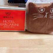 ヒメ日記 2025/04/11 09:05 投稿 有村もえ プレジデントハウス