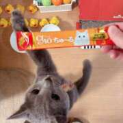 ヒメ日記 2025/04/14 20:31 投稿 有村もえ プレジデントハウス