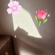 ヒメ日記 2025/04/15 10:39 投稿 有村もえ プレジデントハウス