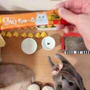 ヒメ日記 2025/04/22 08:30 投稿 有村もえ プレジデントハウス