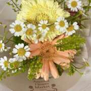 ヒメ日記 2025/04/24 17:19 投稿 有村もえ プレジデントハウス