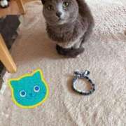 ヒメ日記 2025/04/27 12:31 投稿 有村もえ プレジデントハウス