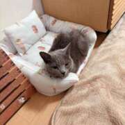 ヒメ日記 2025/04/29 09:07 投稿 有村もえ プレジデントハウス