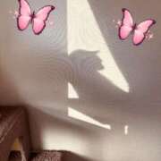 ヒメ日記 2025/05/03 09:15 投稿 有村もえ プレジデントハウス