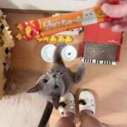 ヒメ日記 2025/05/03 20:03 投稿 有村もえ プレジデントハウス