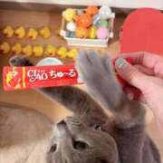 ヒメ日記 2025/05/11 08:31 投稿 有村もえ プレジデントハウス