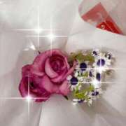 ヒメ日記 2025/05/18 17:37 投稿 有村もえ プレジデントハウス