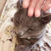 ヒメ日記 2025/05/22 05:43 投稿 有村もえ プレジデントハウス