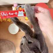 ヒメ日記 2025/05/31 09:30 投稿 有村もえ プレジデントハウス