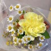 ヒメ日記 2025/06/08 20:18 投稿 有村もえ プレジデントハウス