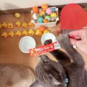 ヒメ日記 2025/06/12 20:15 投稿 有村もえ プレジデントハウス