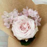 ヒメ日記 2025/06/15 21:01 投稿 有村もえ プレジデントハウス