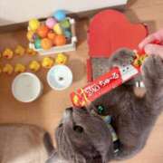 ヒメ日記 2025/06/18 22:01 投稿 有村もえ プレジデントハウス