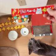 ヒメ日記 2025/06/26 08:30 投稿 有村もえ プレジデントハウス