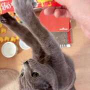 ヒメ日記 2025/07/02 19:39 投稿 有村もえ プレジデントハウス