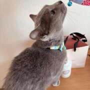 ヒメ日記 2025/07/09 16:09 投稿 有村もえ プレジデントハウス