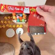 ヒメ日記 2025/07/13 22:55 投稿 有村もえ プレジデントハウス