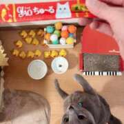 ヒメ日記 2025/07/21 19:04 投稿 有村もえ プレジデントハウス