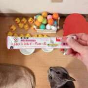 ヒメ日記 2025/07/27 20:35 投稿 有村もえ プレジデントハウス