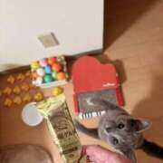 ヒメ日記 2025/08/13 19:46 投稿 有村もえ プレジデントハウス