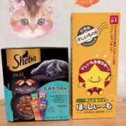 ヒメ日記 2025/08/15 20:39 投稿 有村もえ プレジデントハウス