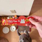 ヒメ日記 2025/08/26 18:30 投稿 有村もえ プレジデントハウス