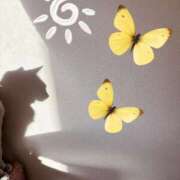 ヒメ日記 2025/09/03 08:30 投稿 有村もえ プレジデントハウス