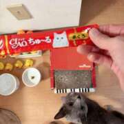 ヒメ日記 2025/09/08 18:34 投稿 有村もえ プレジデントハウス