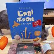 ヒメ日記 2025/09/13 05:41 投稿 有村もえ プレジデントハウス