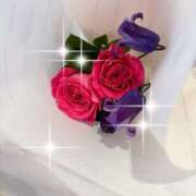 ヒメ日記 2025/09/15 13:57 投稿 有村もえ プレジデントハウス