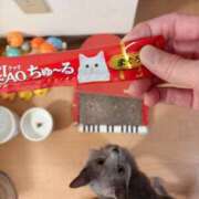 ヒメ日記 2025/09/17 00:18 投稿 有村もえ プレジデントハウス