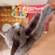 ヒメ日記 2025/09/23 19:15 投稿 有村もえ プレジデントハウス