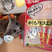 ヒメ日記 2025/09/29 21:15 投稿 有村もえ プレジデントハウス