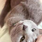 ヒメ日記 2025/10/02 18:02 投稿 有村もえ プレジデントハウス