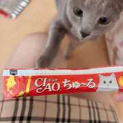 ヒメ日記 2025/10/18 09:16 投稿 有村もえ プレジデントハウス