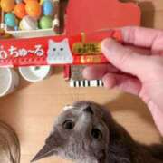 ヒメ日記 2025/10/19 01:08 投稿 有村もえ プレジデントハウス