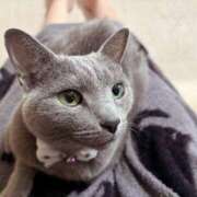 ヒメ日記 2025/10/22 13:00 投稿 有村もえ プレジデントハウス