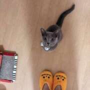 ヒメ日記 2025/10/26 09:58 投稿 有村もえ プレジデントハウス