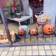 ヒメ日記 2025/10/31 05:52 投稿 有村もえ プレジデントハウス