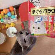 ヒメ日記 2025/11/01 12:31 投稿 有村もえ プレジデントハウス