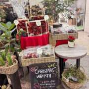 ヒメ日記 2025/11/04 19:15 投稿 有村もえ プレジデントハウス